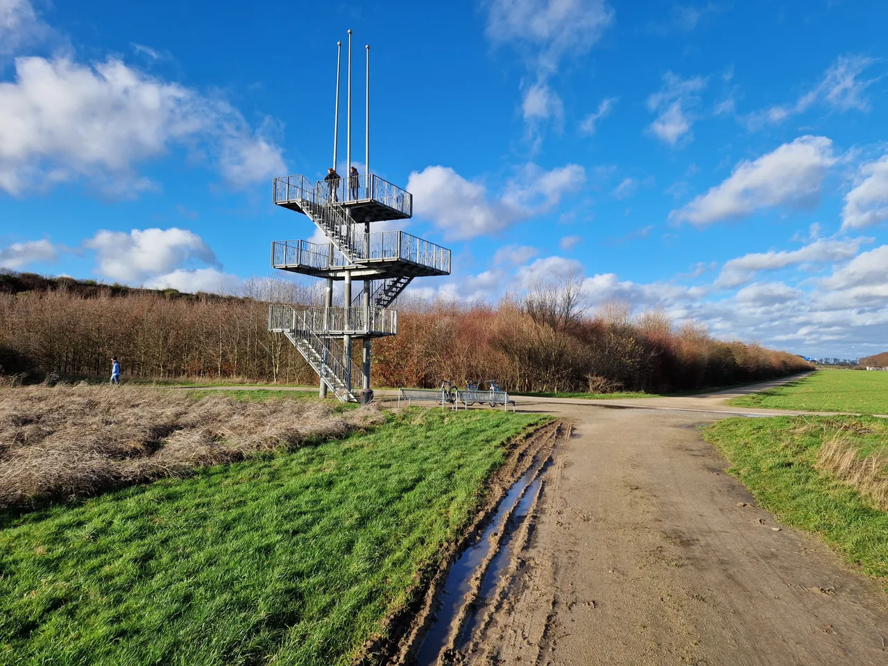 Belvedere Blickfang