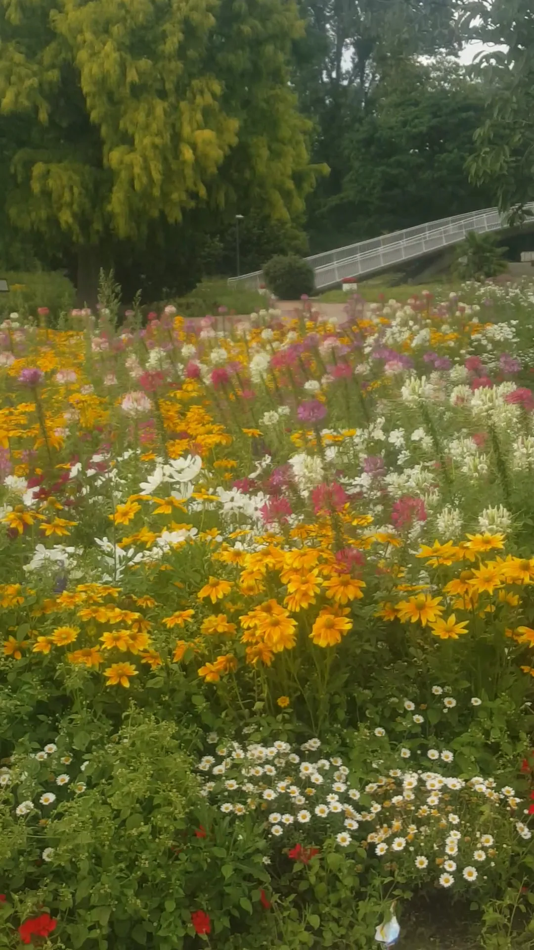 Interior at Blumenhof im Rhein Park Köln — travel photo