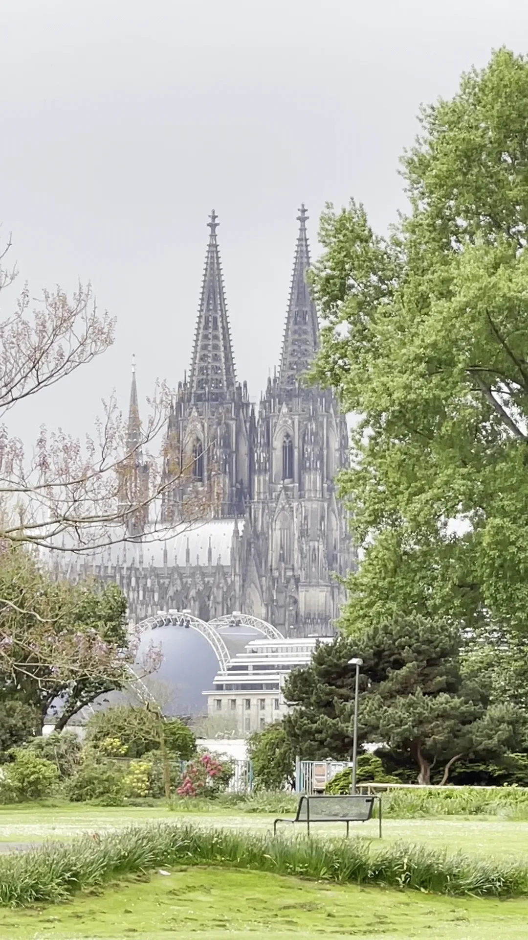 Atmosphere at Blumenhof im Rhein Park Köln — travel photo