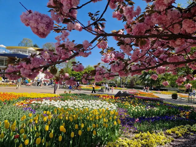 Blumenhof im Rhein Park
