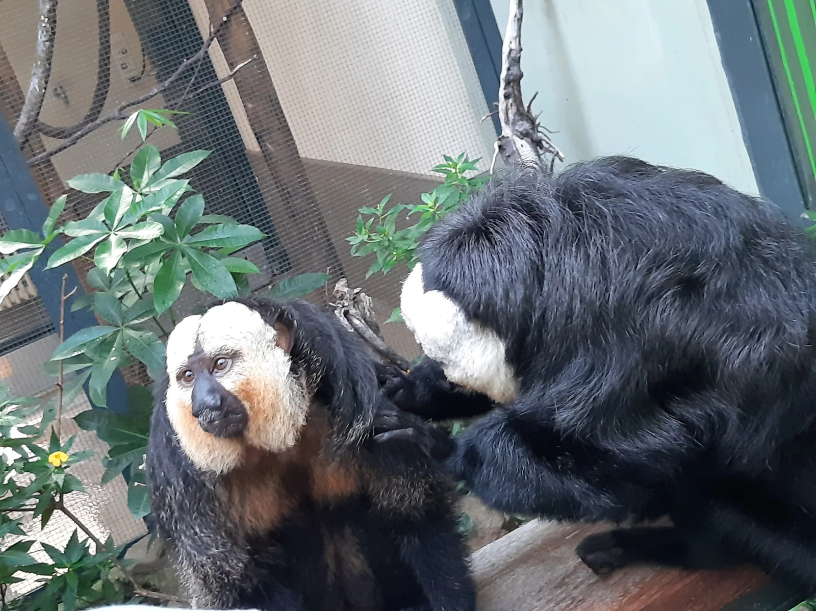 Main view at Cologne Zoo Köln — travel photo