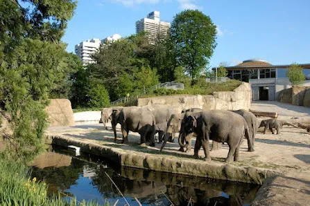 Interior at Cologne Zoo Köln — travel photo