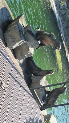 Details at Cologne Zoo Köln — travel photo