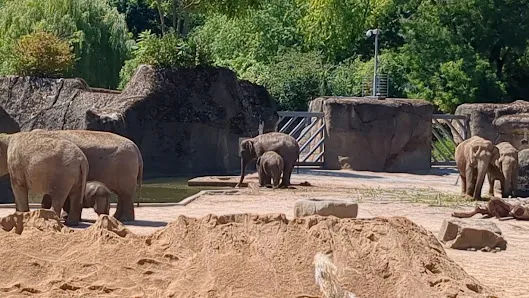 Atmosphere at Cologne Zoo Köln — travel photo