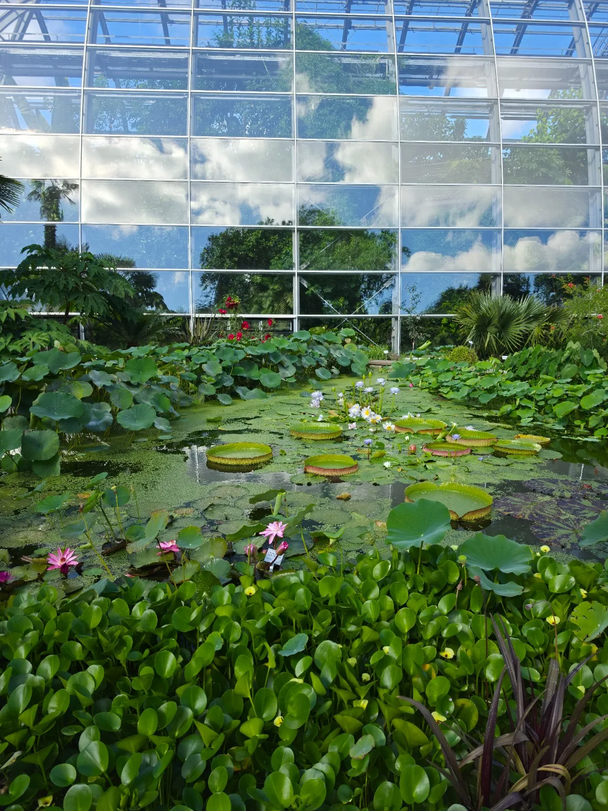 Main view at Flora Cologne - Palais im Park Köln — travel photo