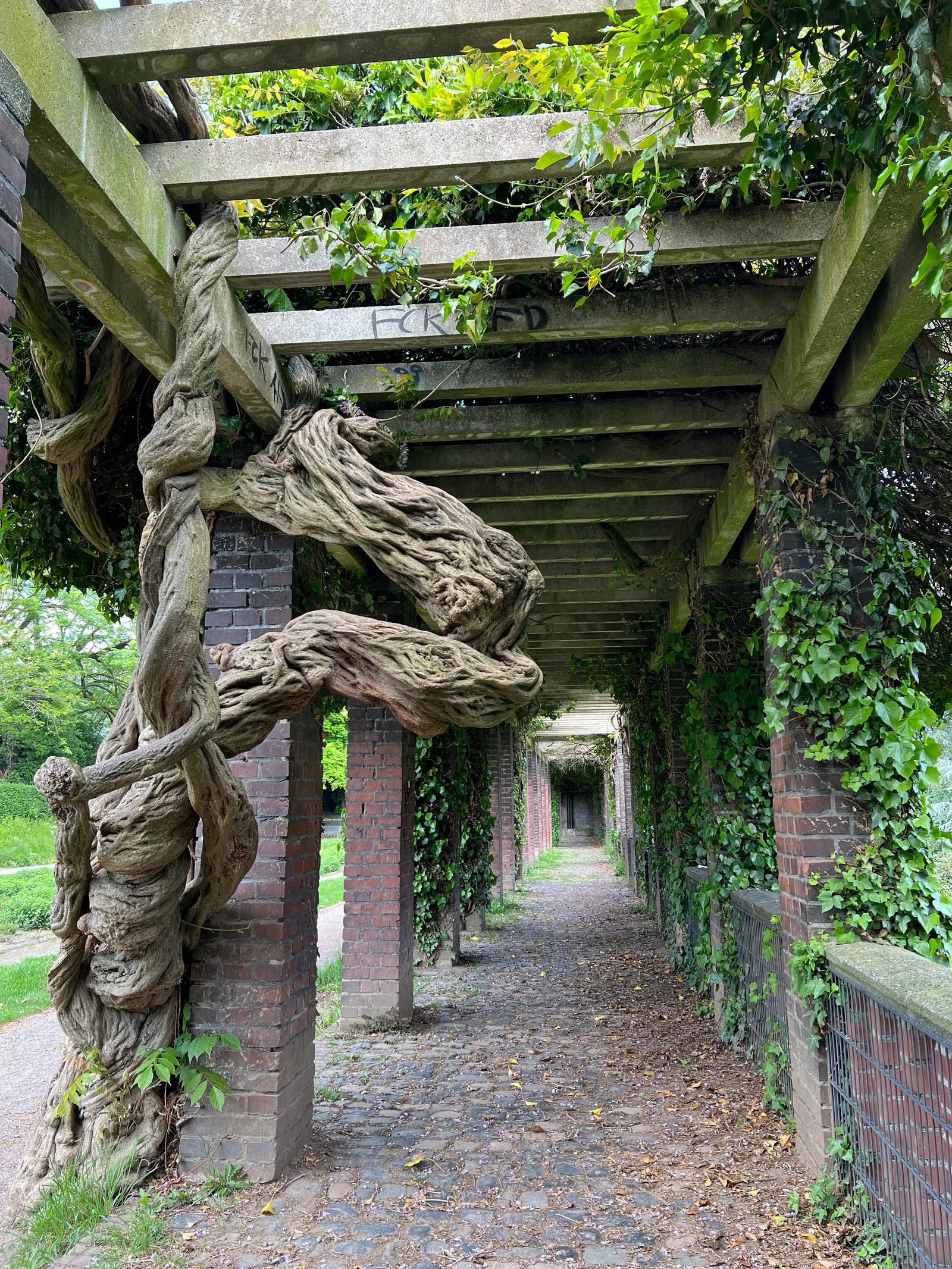 Details at Friedenspark Köln — travel photo