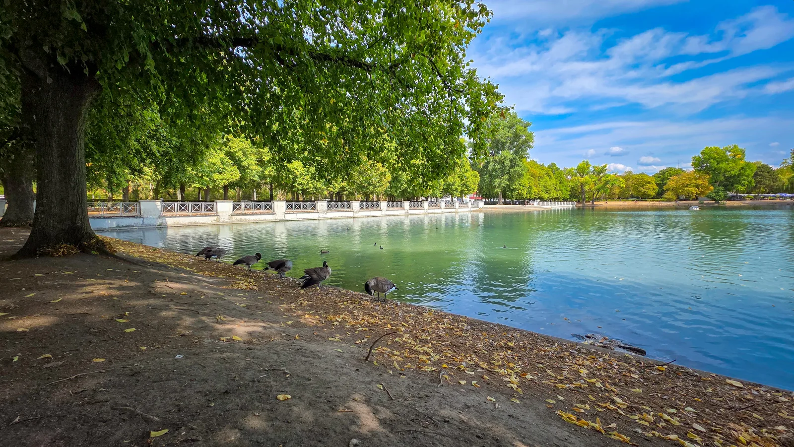 Main view at Hiroshima-Nagasaki-Park Köln — travel photo