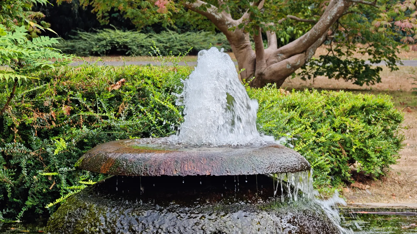 Main view at Japanese Garden Leverkusen Köln — travel photo