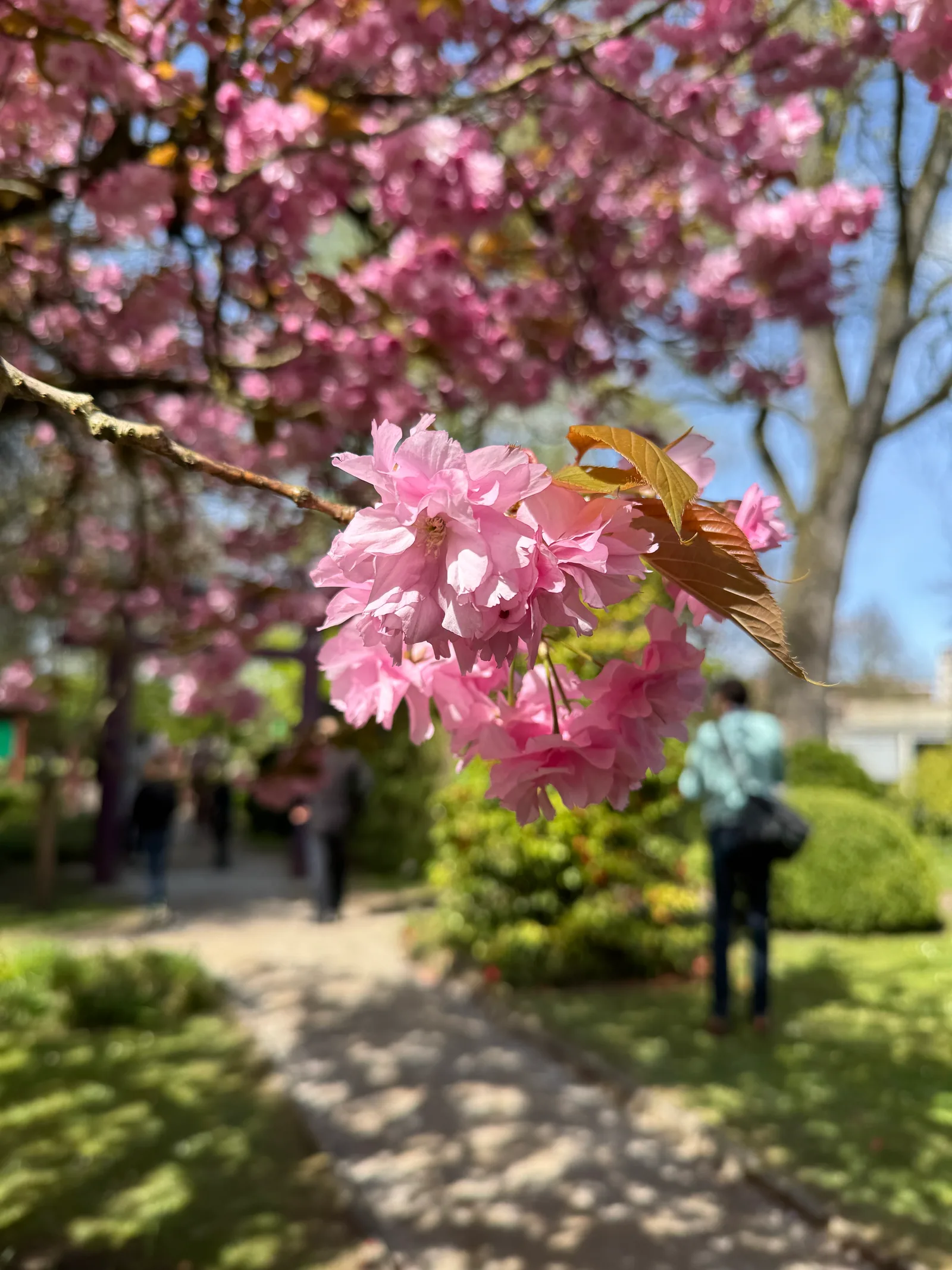 Atmosphere at Japanese Garden Leverkusen Köln — travel photo