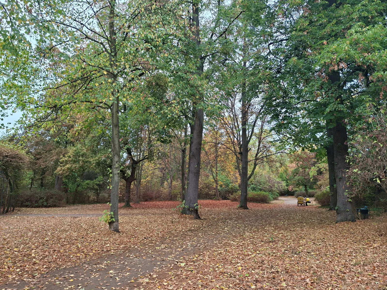 Main view at Klettenberg Park Köln — travel photo
