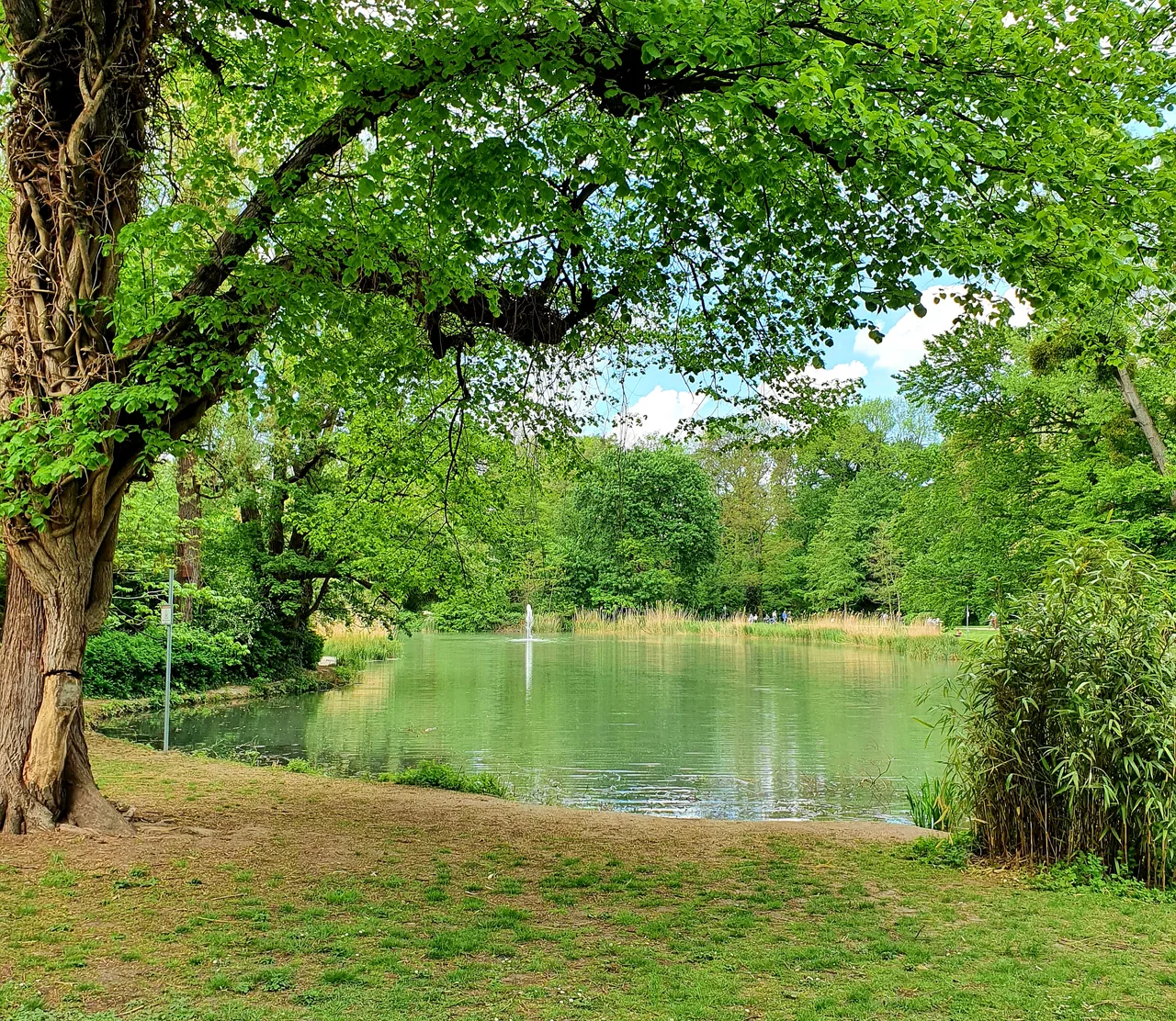 Klettenberg Park — family guide Köln