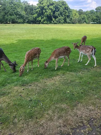 Lindenthaler Tierpark in Köln