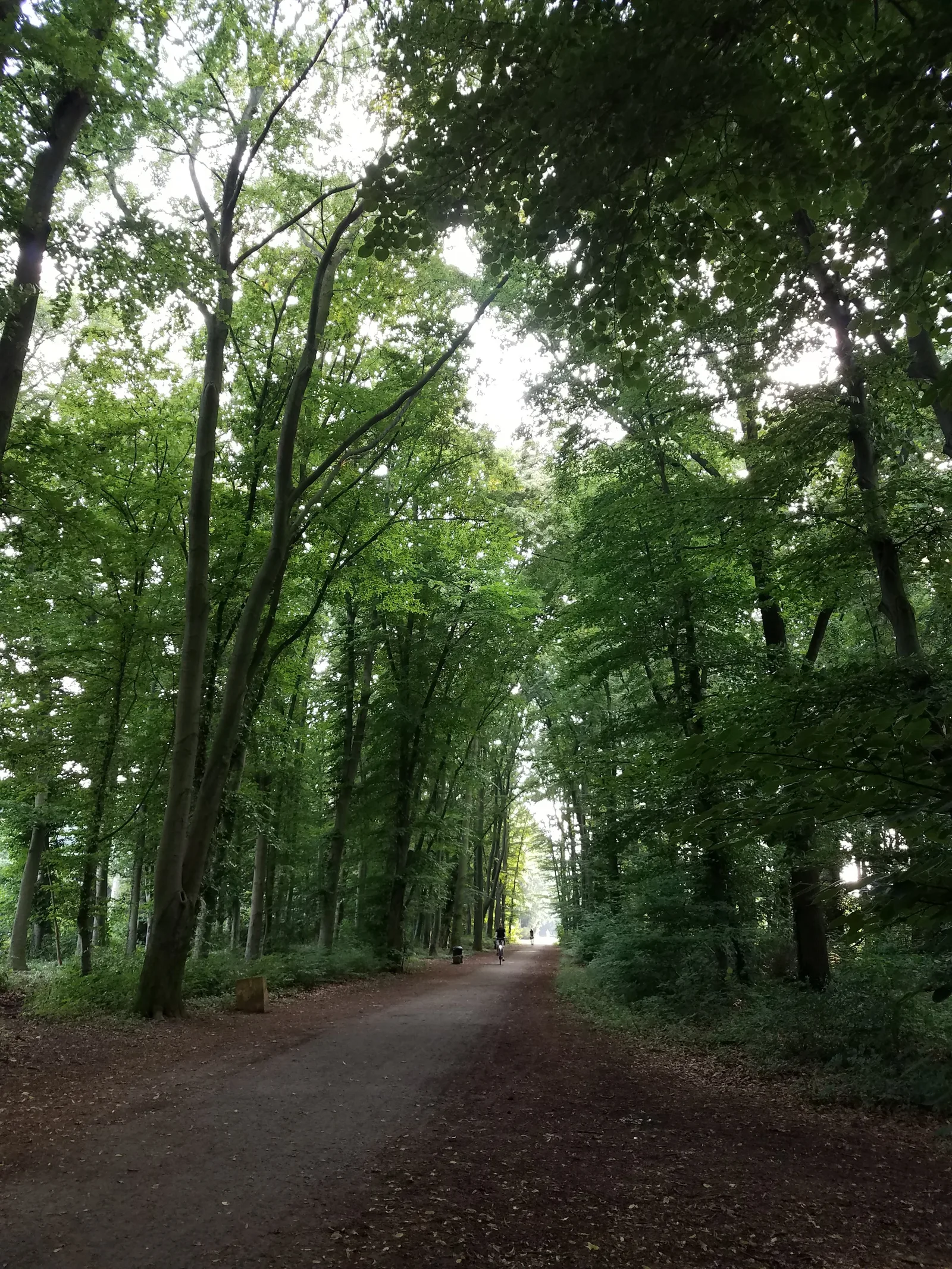 Interior at Merheimer Heide Köln — travel photo