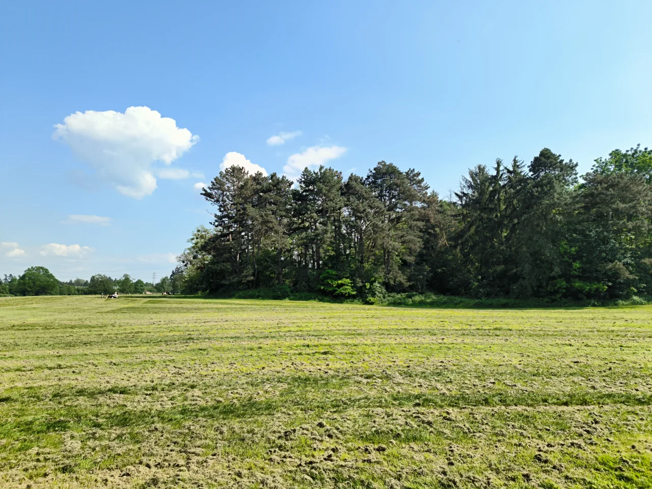 Merheimer Heide — budget guide Köln