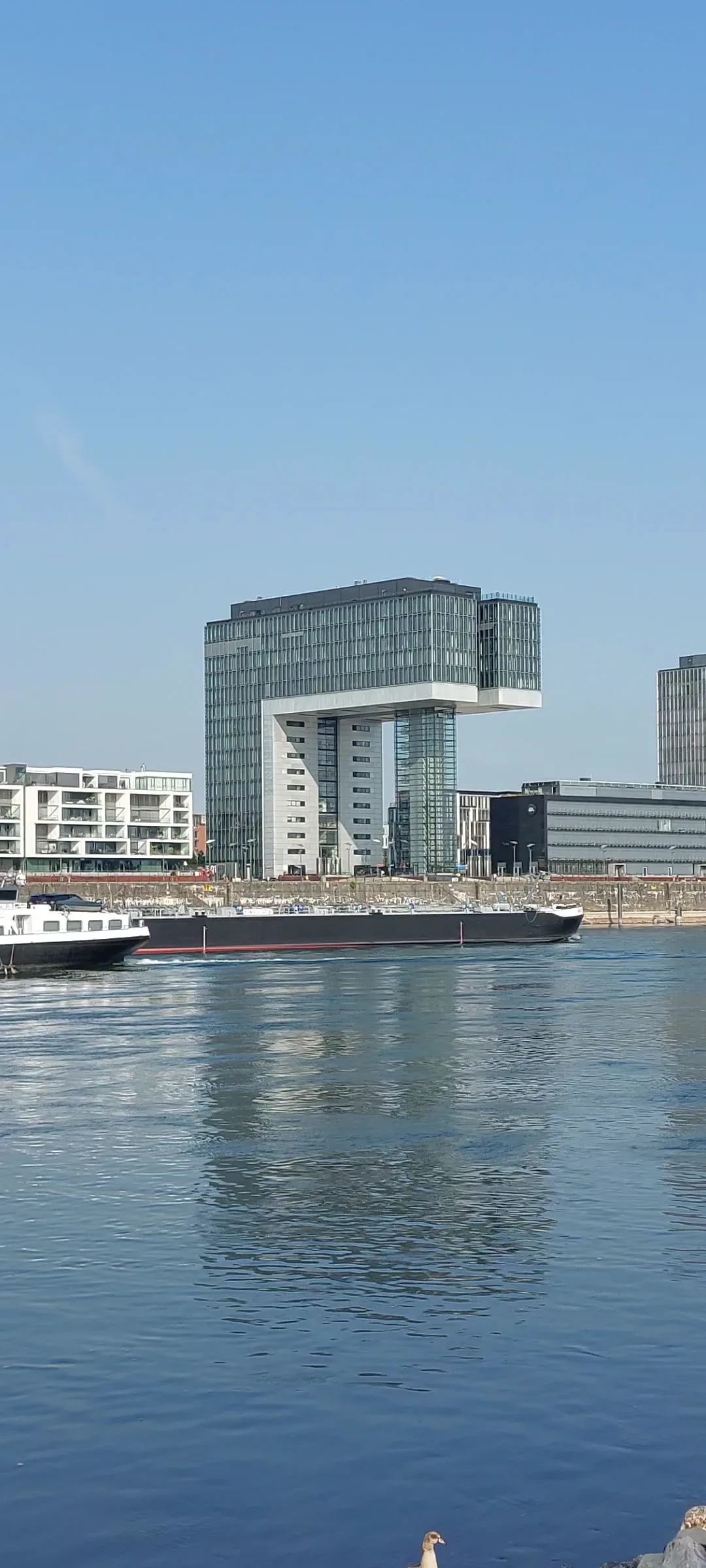 Main view at Poller Wiesen Köln — travel photo