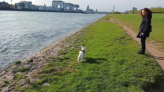 Atmosphere at Poller Wiesen Köln — travel photo