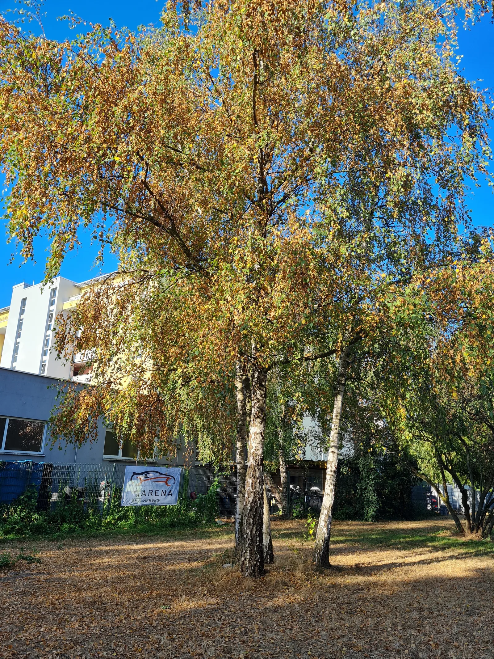Main view at Pyramiden Park Köln — travel photo