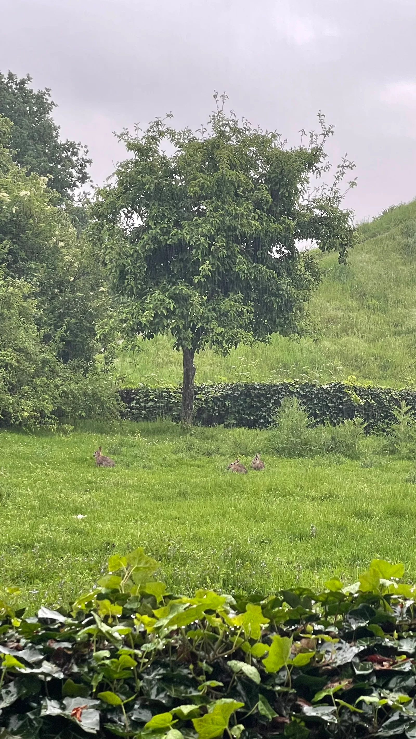Atmosphere at Pyramiden Park Köln — travel photo