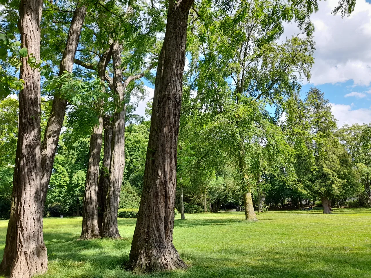 Pyramiden Park