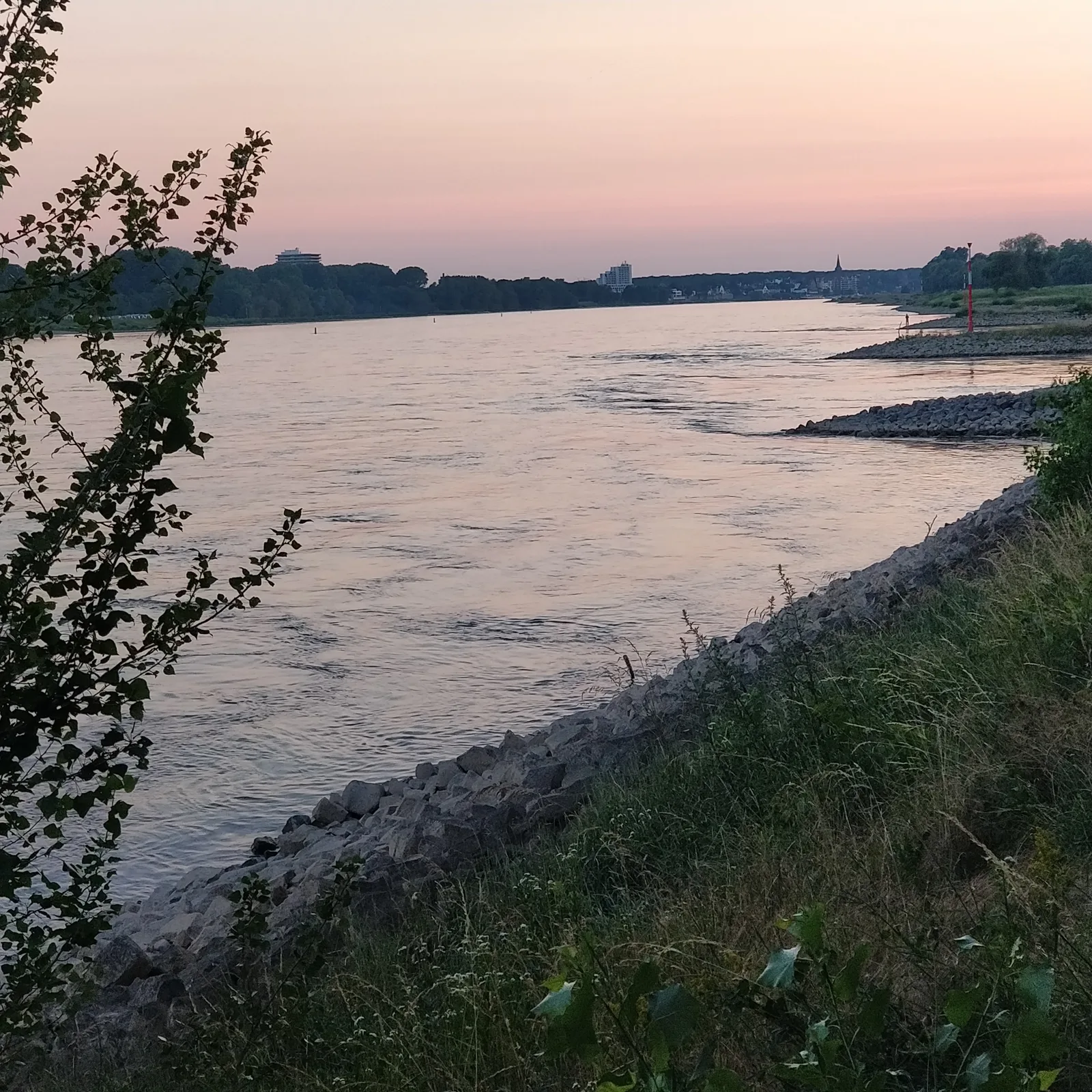 Main view at Rheinwiese Ensen Köln — travel photo