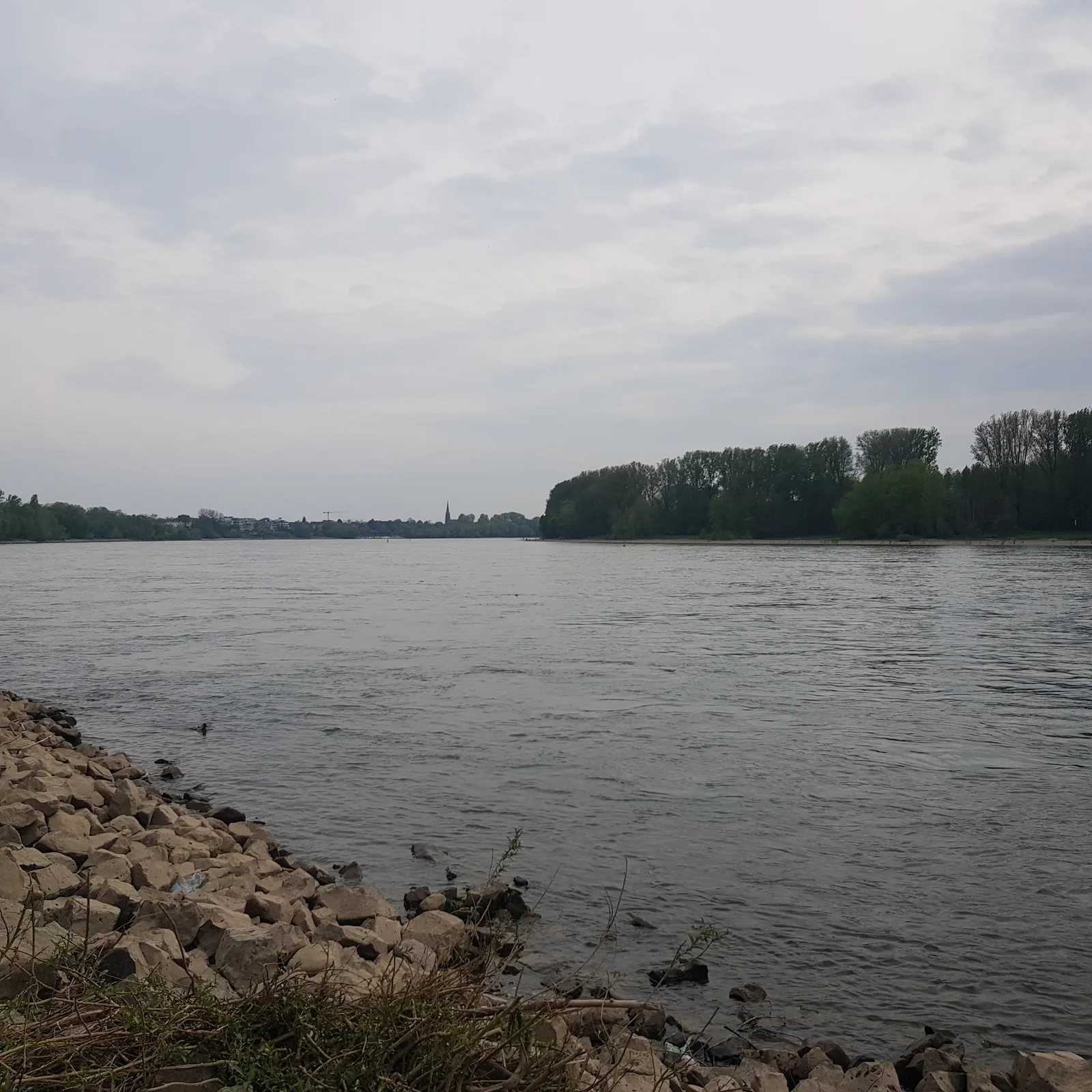 Atmosphere at Rheinwiese Ensen Köln — travel photo