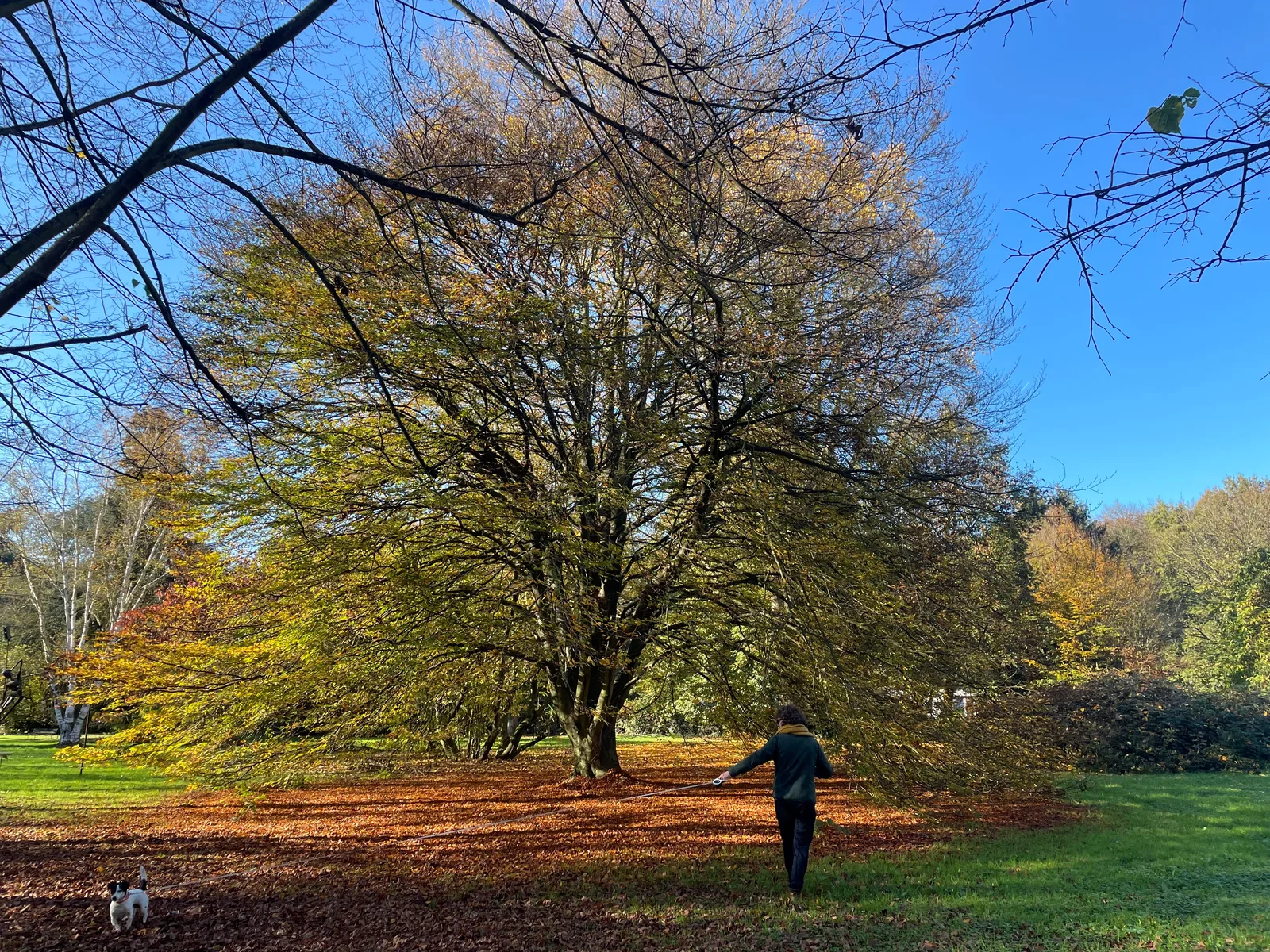 Atmosphere at Schlosspark Stammheim Köln — travel photo