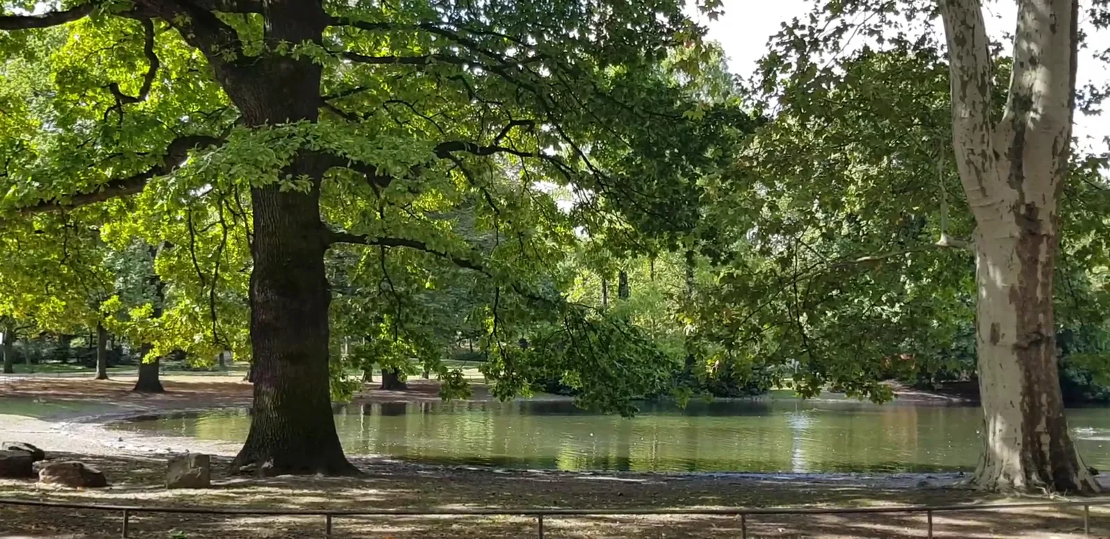 Interior at Spielplatz Volksgarten Köln — travel photo