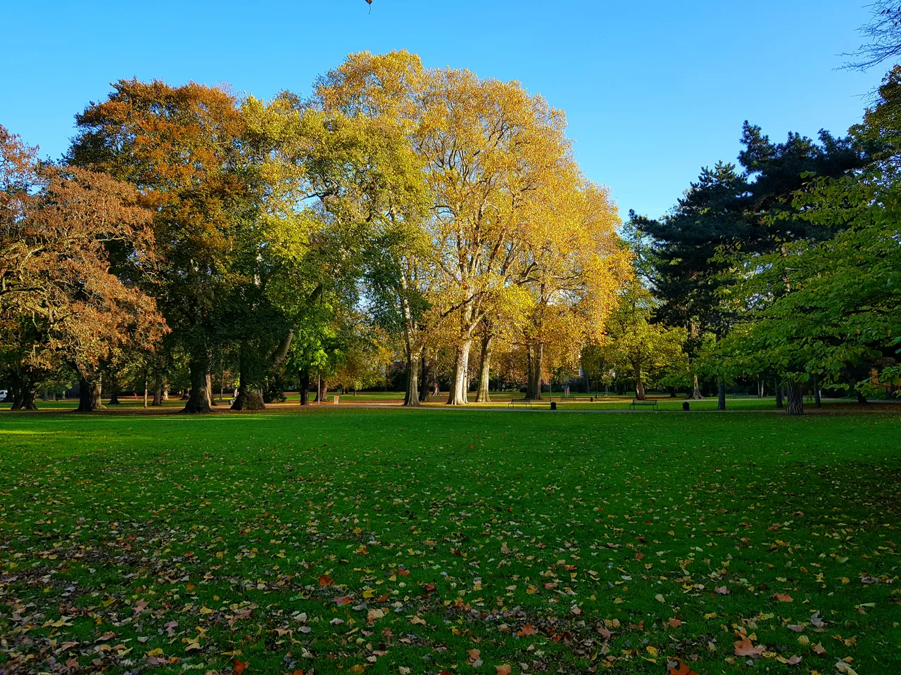 Stadtgarten