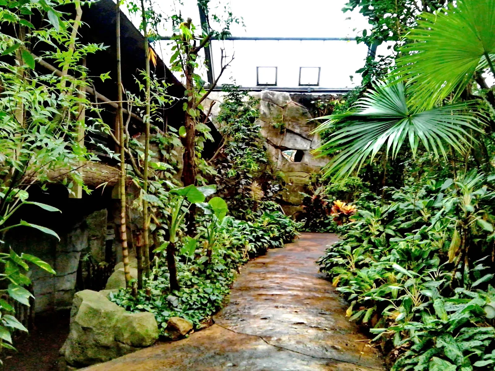 Atmosphere at Urwaldhaus Köln — travel photo