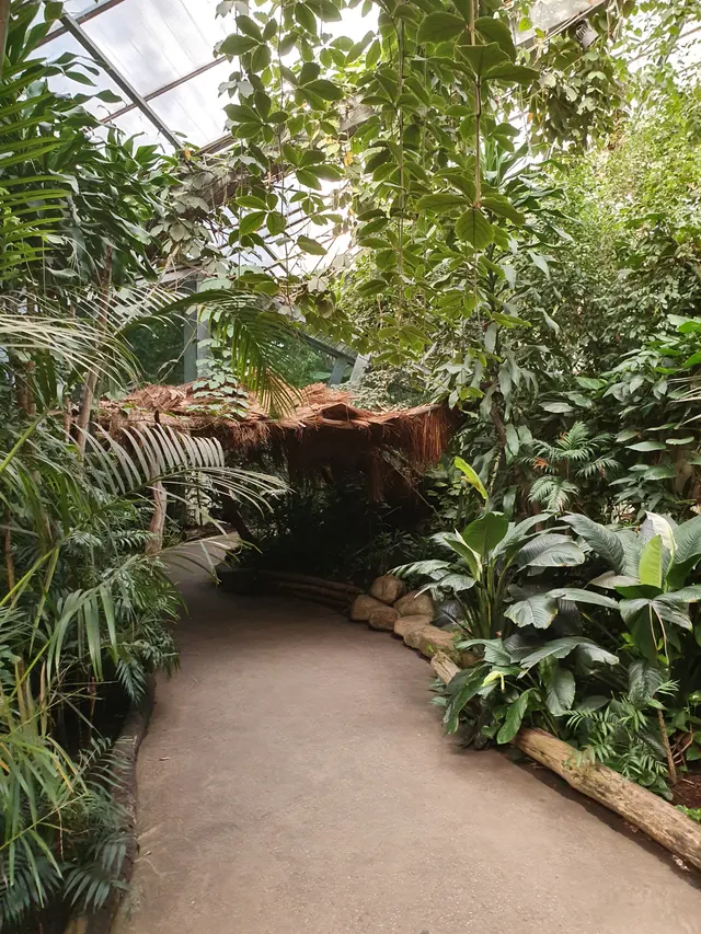 Urwaldhaus