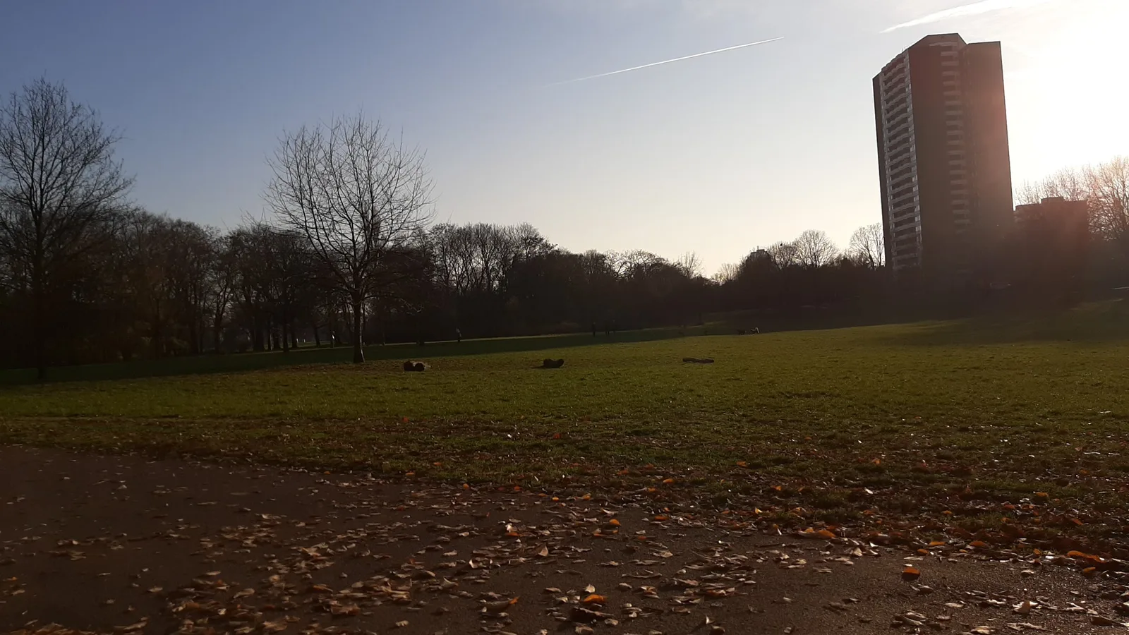 Main view at Vorgebirgspark Köln — travel photo