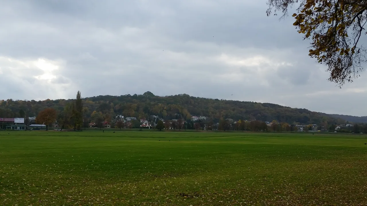 Błonia w Krakowie