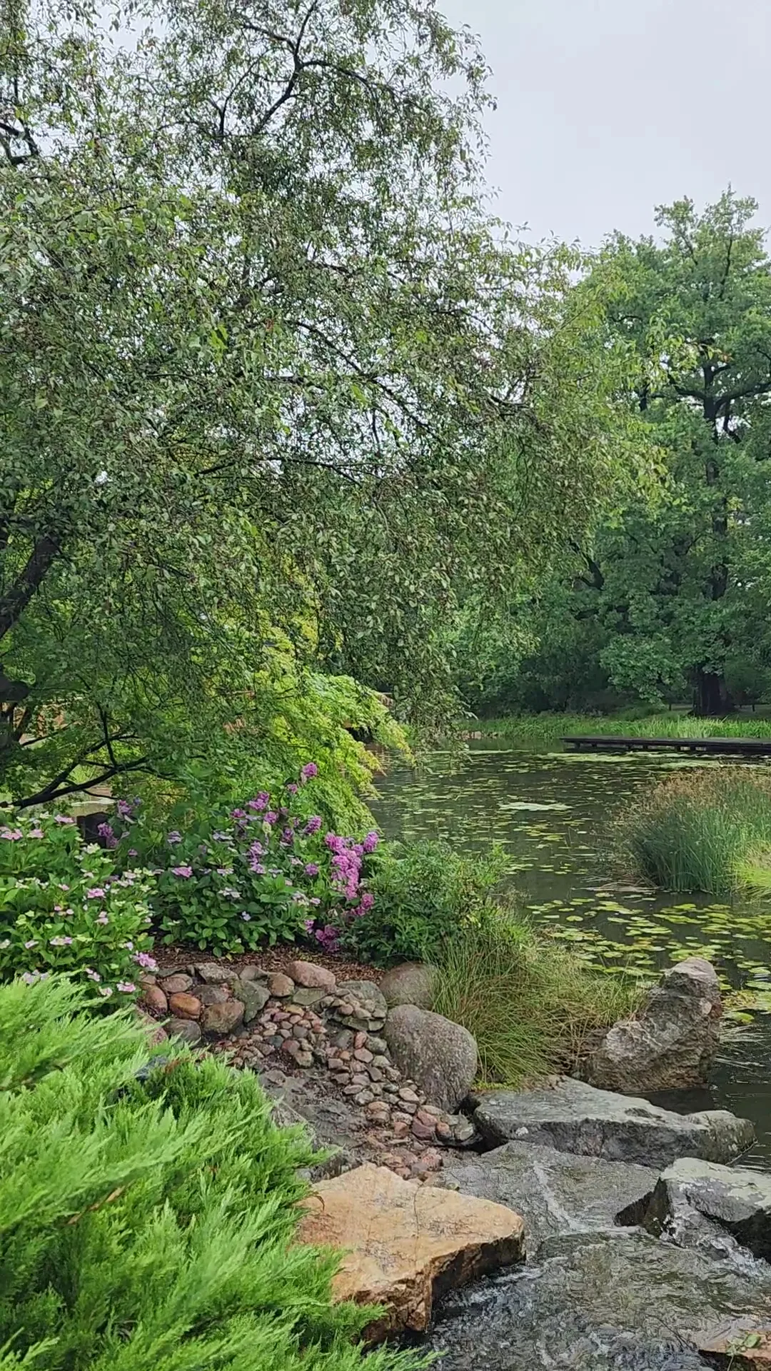Main view at Botanical Garden of the Jagiellonian University Kraków — travel photo