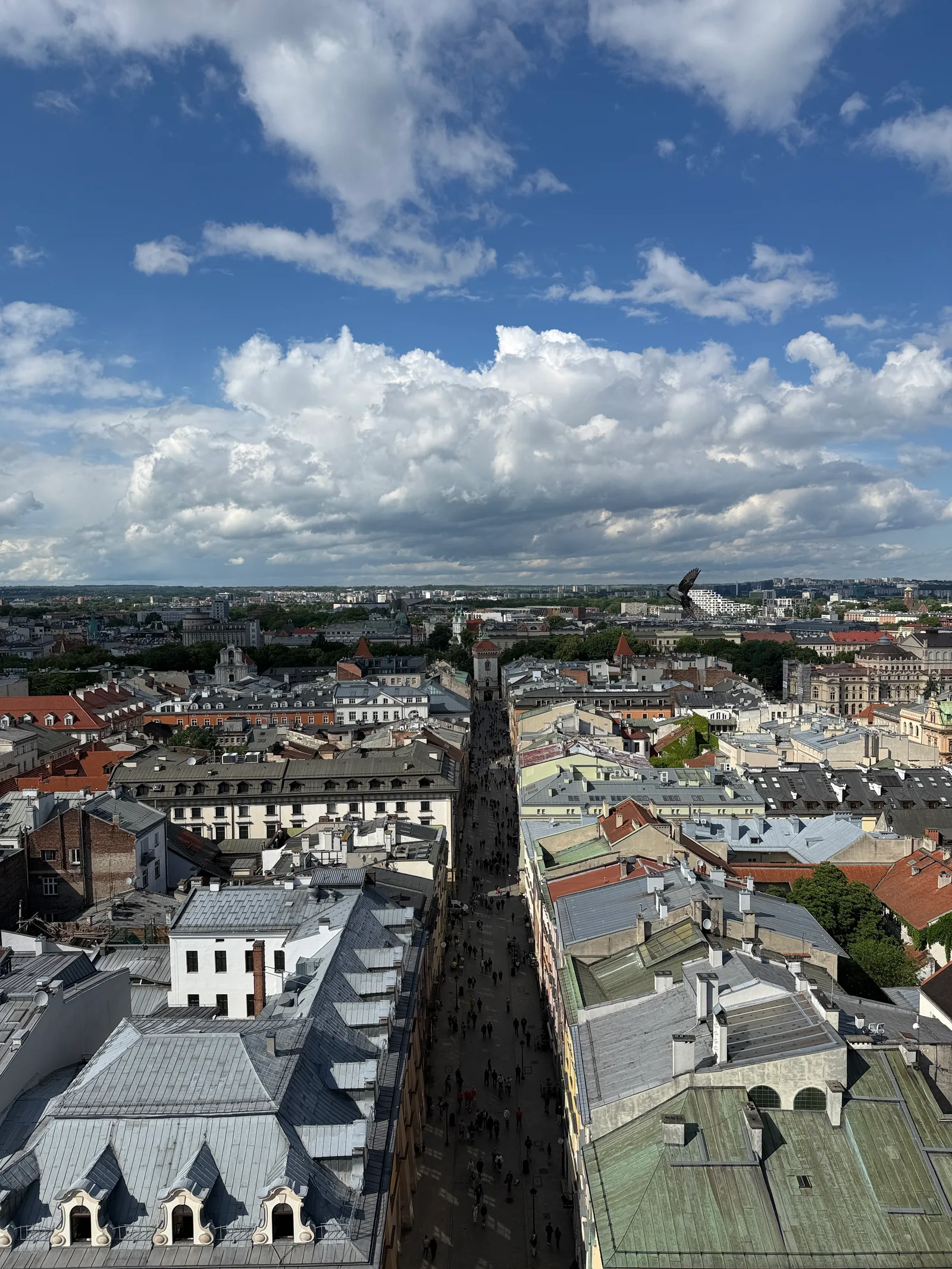 Details at Bugle Tower Kraków — travel photo