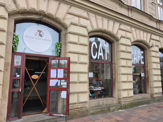 Cat Café Kociarnia