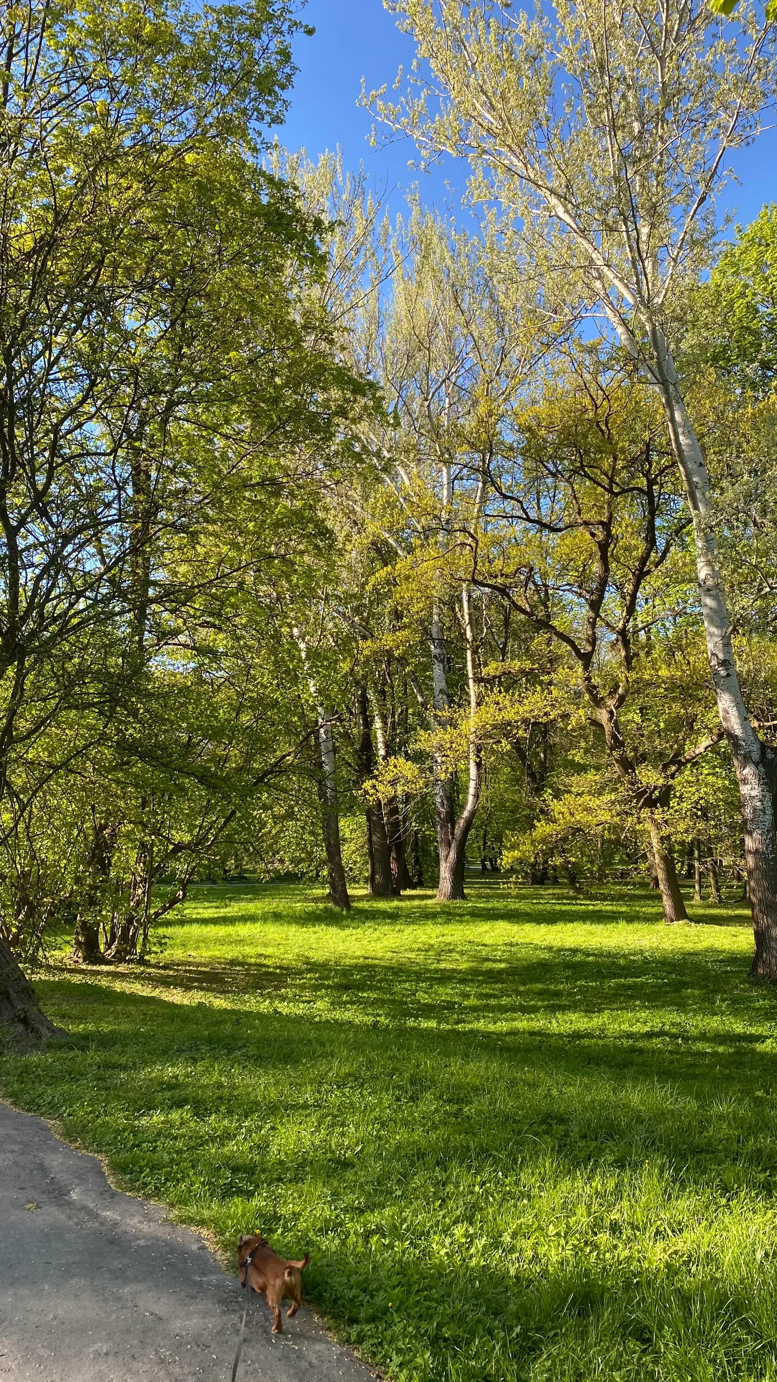 Atmosphere at Decius Park Kraków — travel photo
