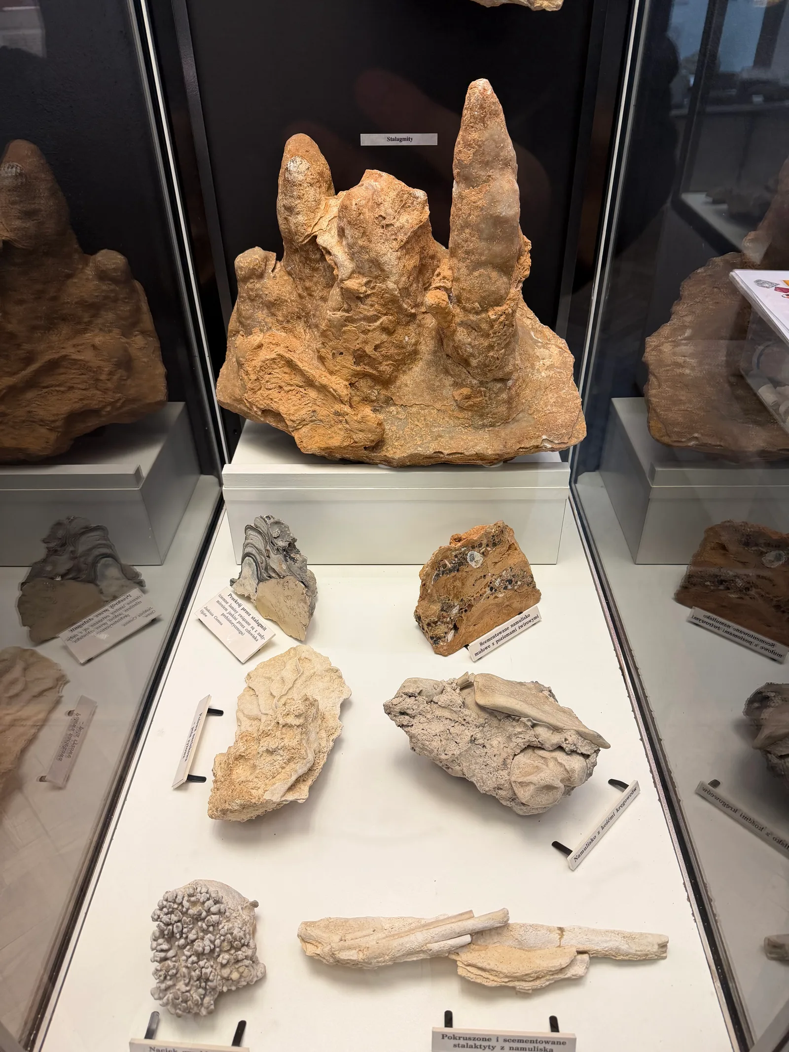 Interior at Geological Museum Kraków — travel photo