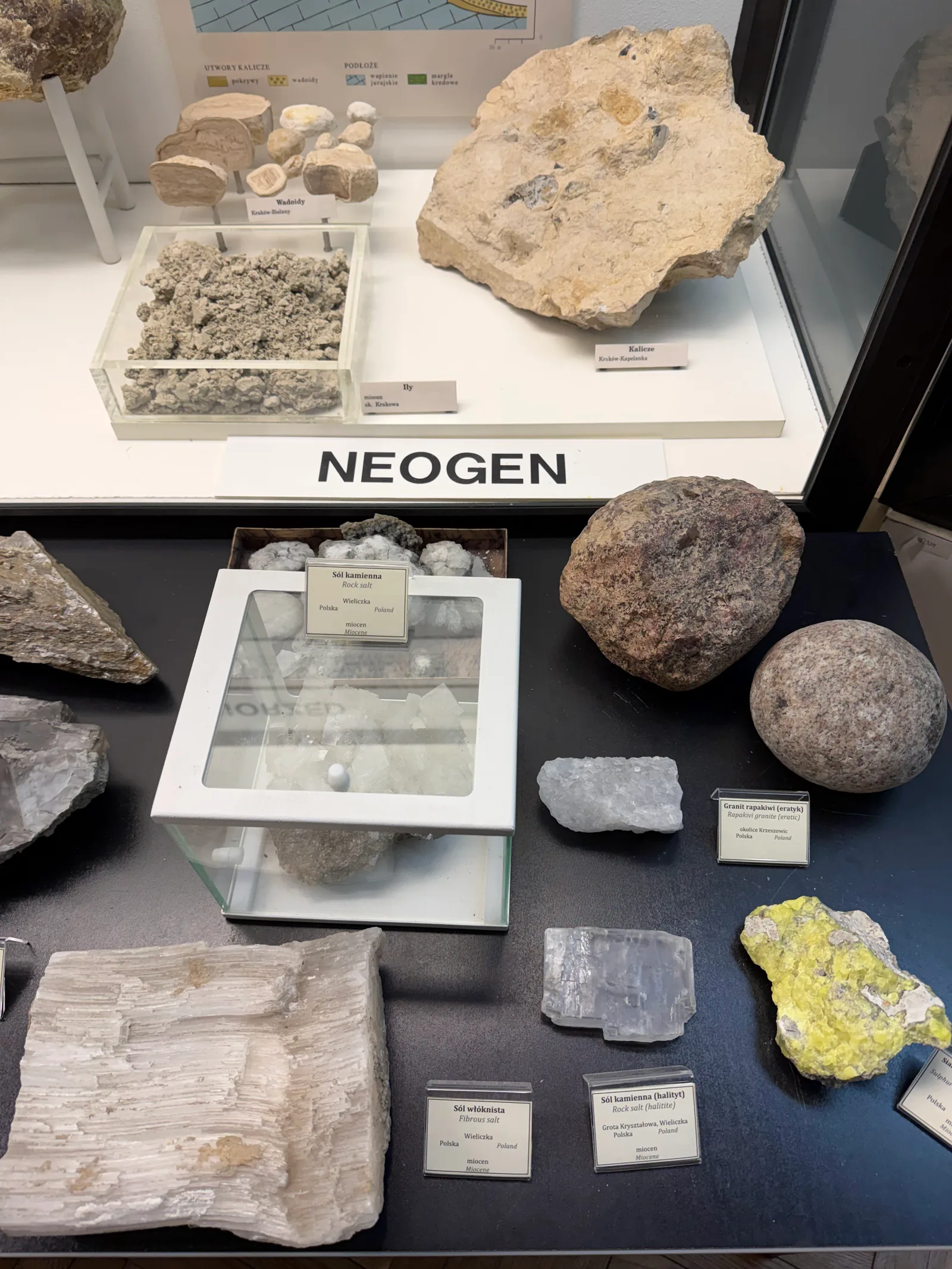 Details at Geological Museum Kraków — travel photo