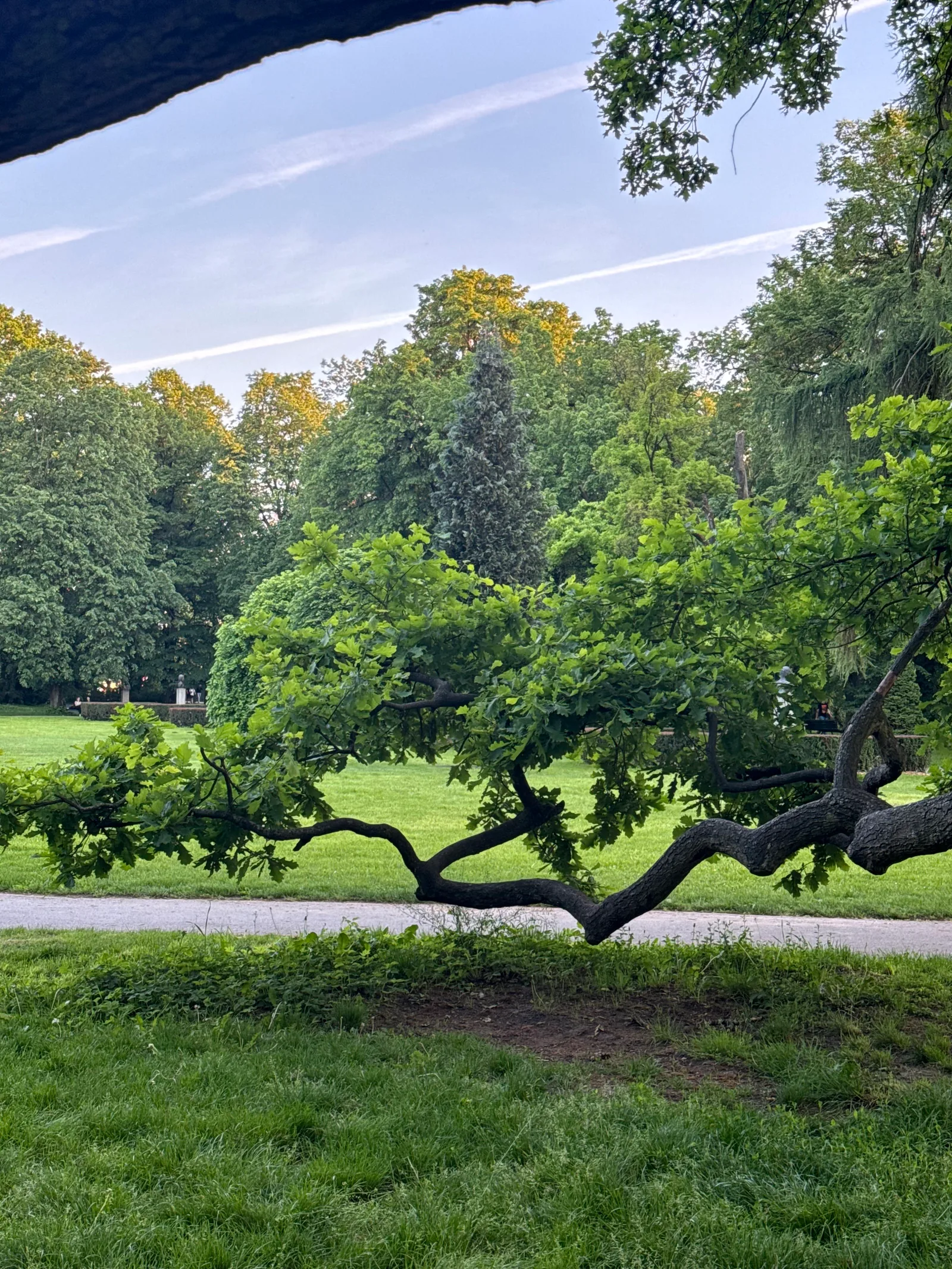 Main view at Henryk Jordan Park Kraków — travel photo