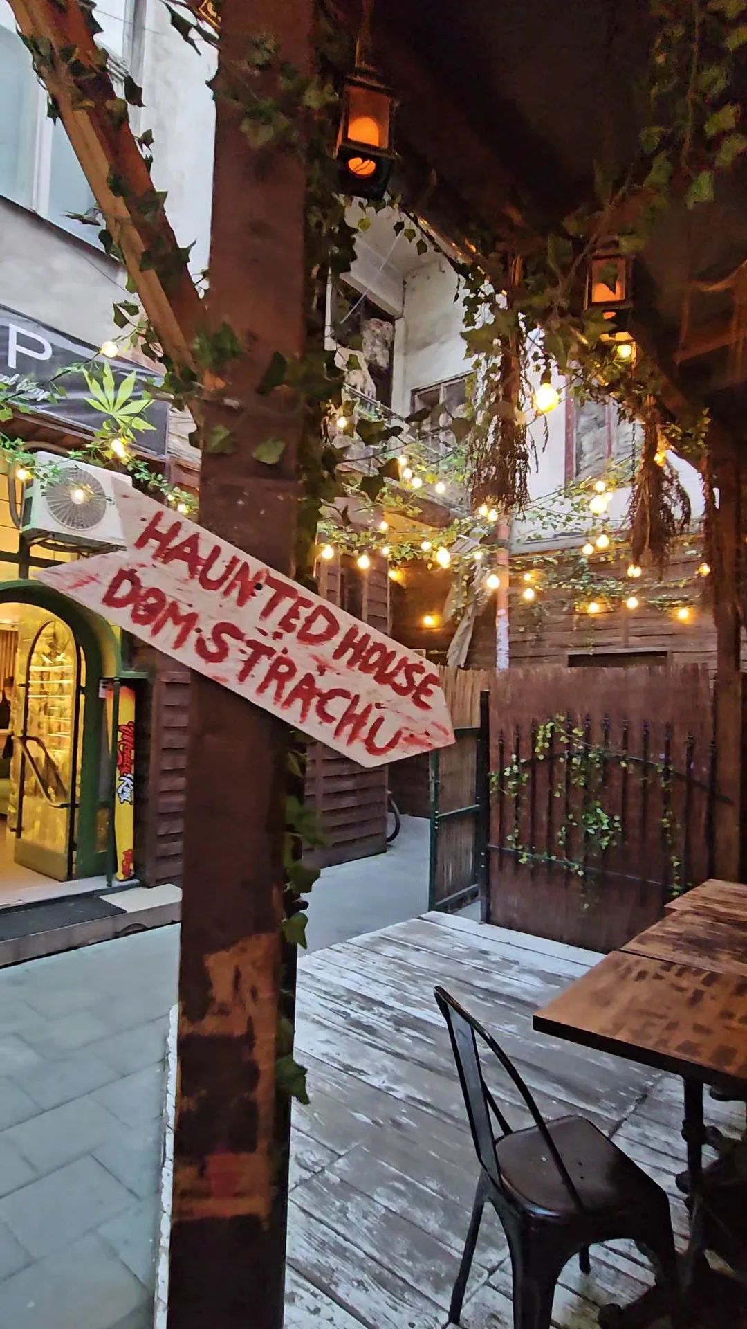 Main view at Lost Souls Alley Kraków — travel photo