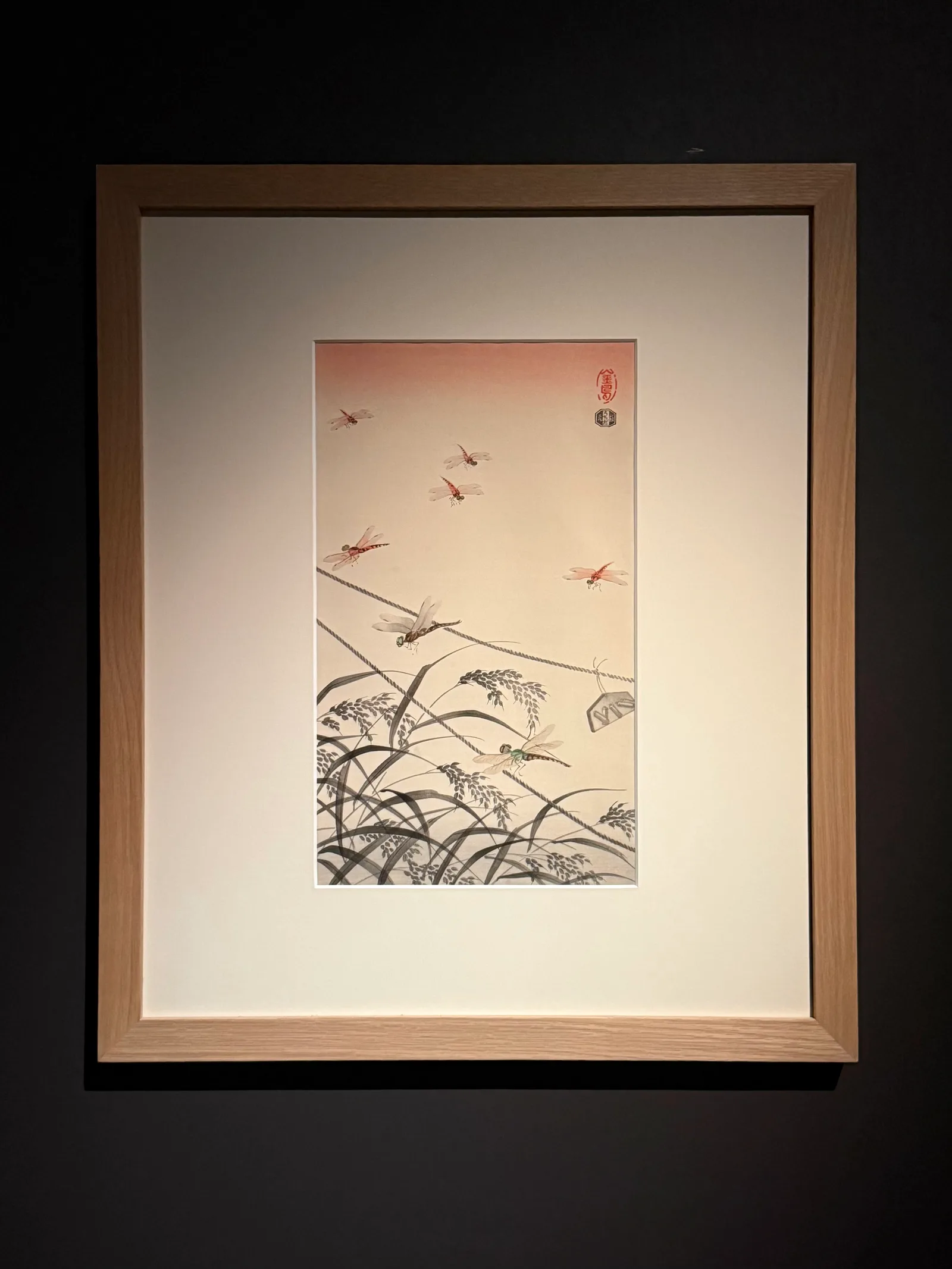 Main view at Manggha Museum of Japanese Art and Technology Kraków — travel photo