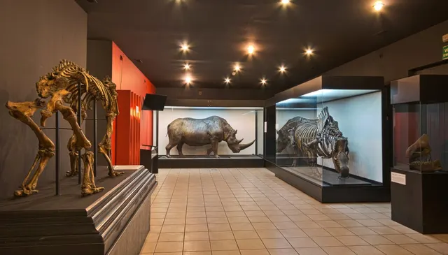 Muzeum Przyrodnicze Instytutu Systematyki i Ewolucji Zwierząt PAN w Krakowie — museum in Krakow