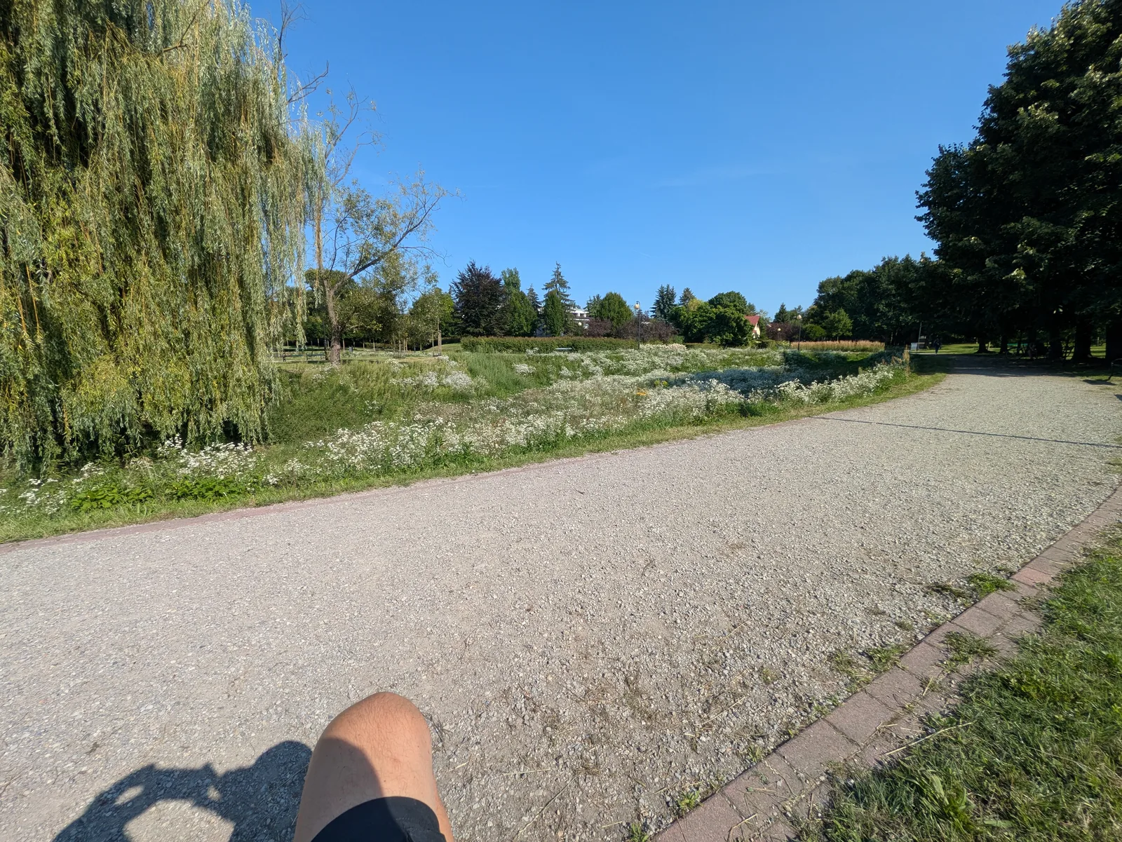 Main view at Park Dębnicki w Krakowie Kraków — travel photo