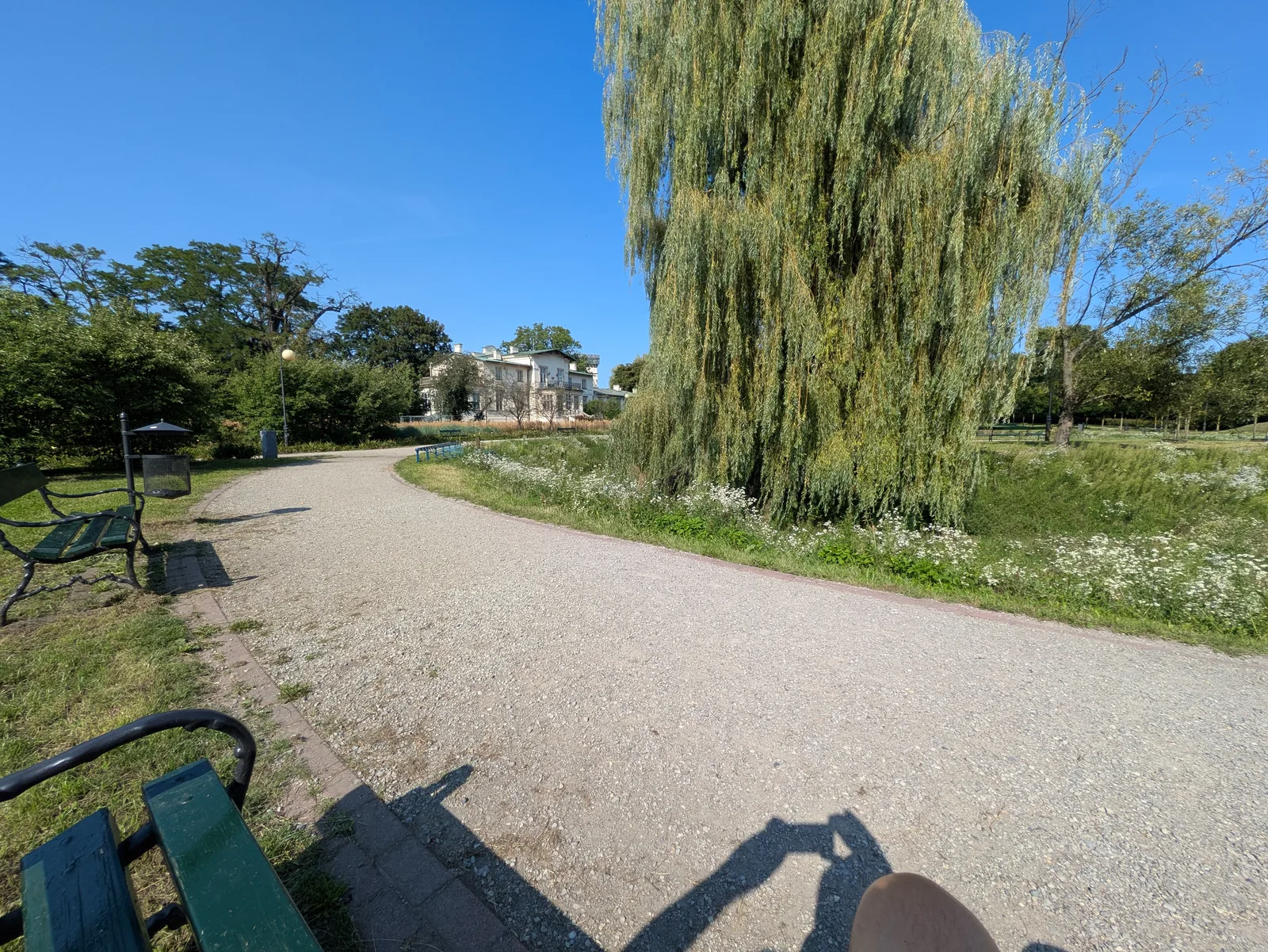 Interior at Park Dębnicki w Krakowie Kraków — travel photo