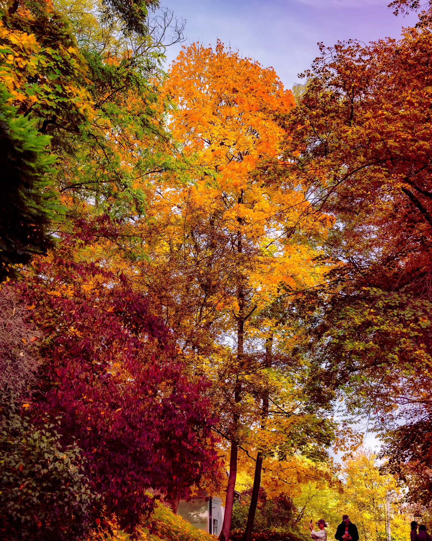 Atmosphere at Park im.Wojciecha Bednarskiego w Podgórzu Kraków — travel photo