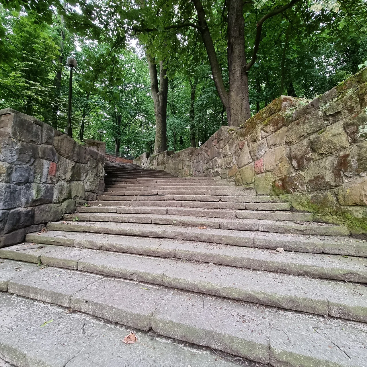 Park im.Wojciecha Bednarskiego w Podgórzu — budget guide Krakow