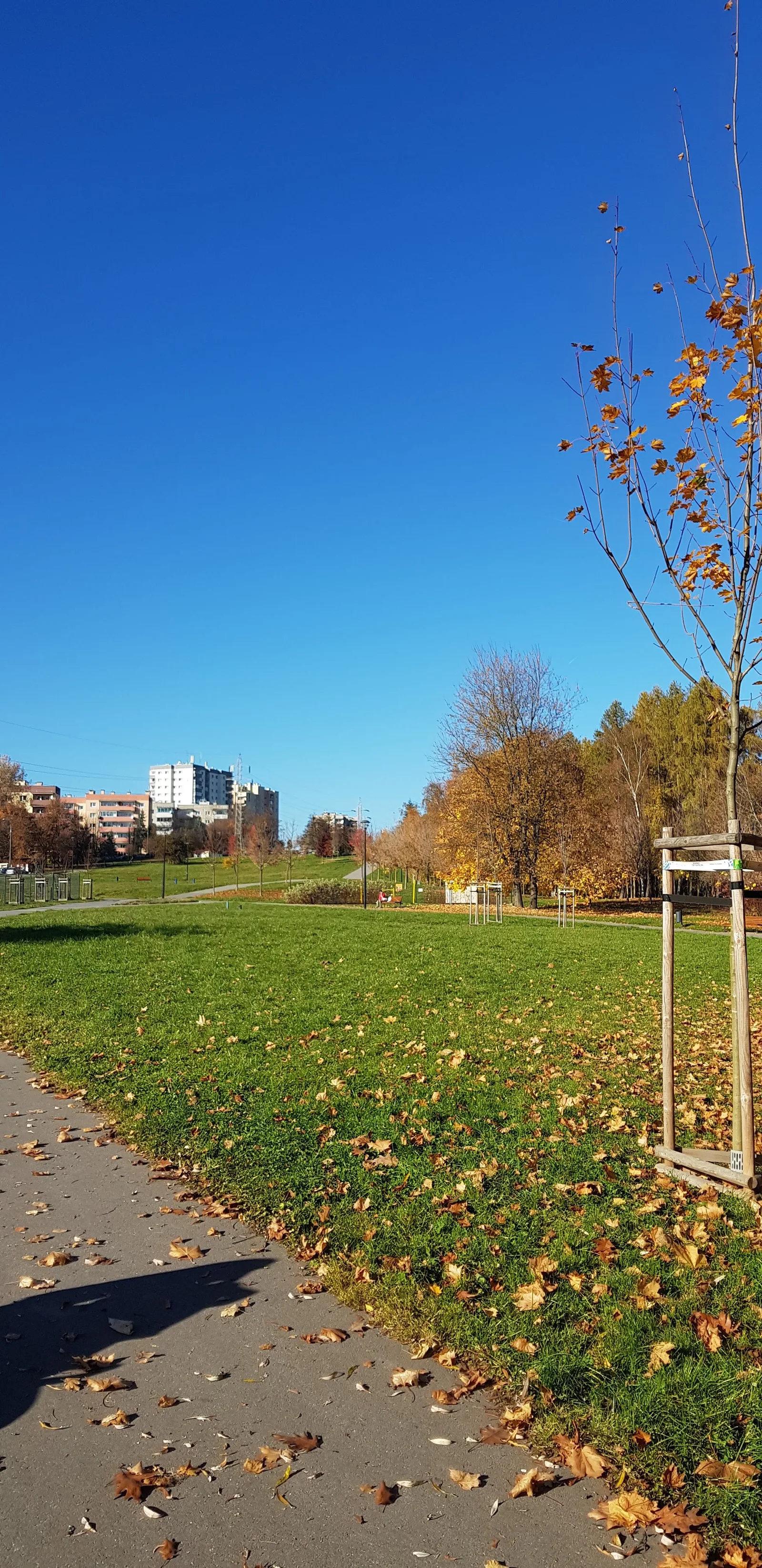 Main view at Park Tysiąclecia w Krakowie Kraków — travel photo