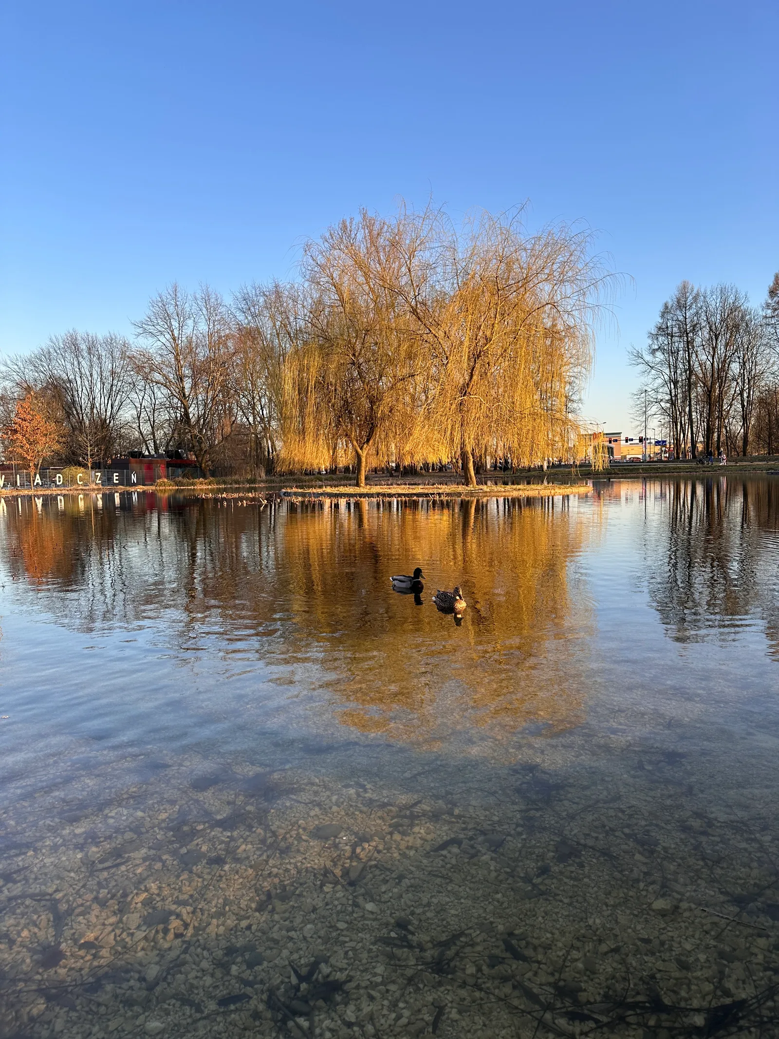 Interior at Polish Airmen Park Kraków — travel photo