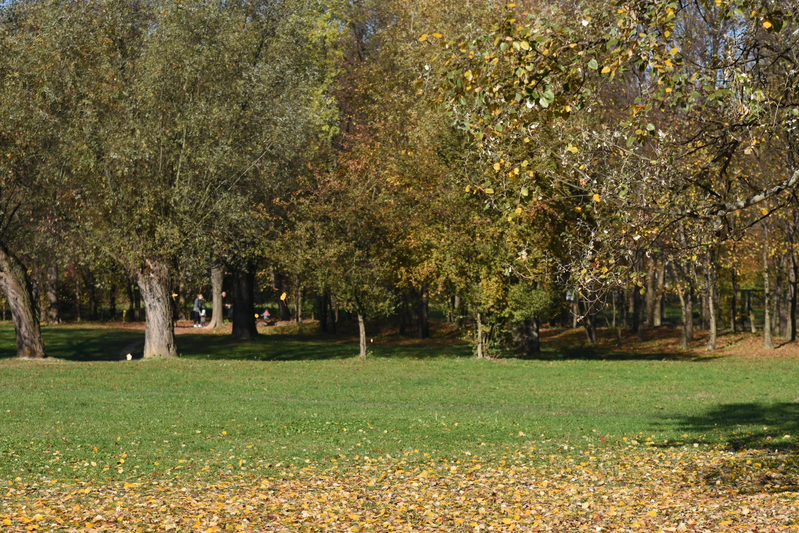 Atmosphere at River Garden Park Płaszów Kraków — travel photo