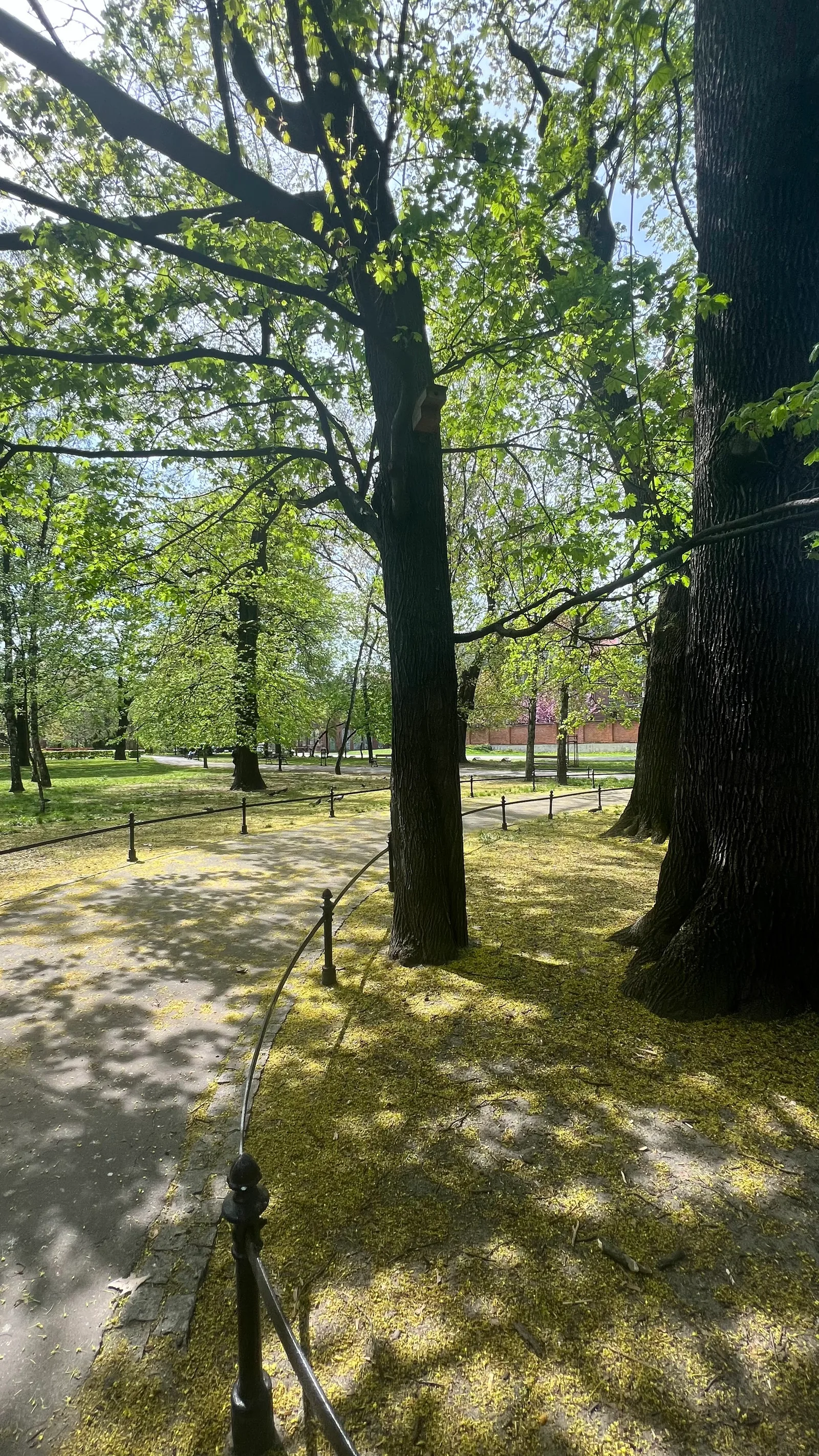 Interior at Strzelecki Park Kraków — travel photo